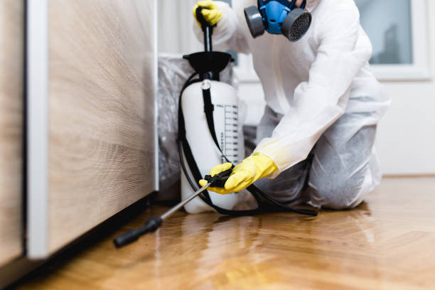 Flea Control Services in Putnam Lake, NY