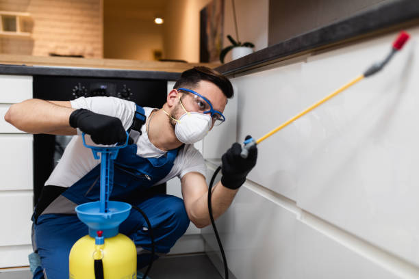 Trusted Putnam Lake, NY Pest Control Experts
