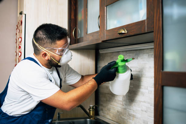 Best Pest Inspection Near Me  in Putnam Lake, NY