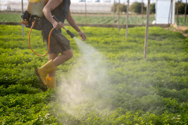 Best Local Pest Control Services  in Putnam Lake, NY