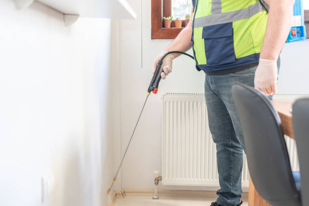 Best Flea Control Services  in Putnam Lake, NY