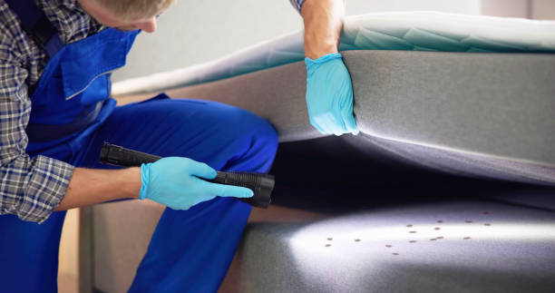 Best Rat Extermination Near Me  in Putnam Lake, NY
