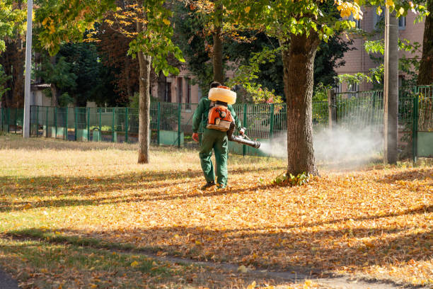 Wasp Removal Services in Putnam Lake, NY