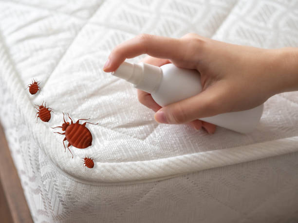 Best Residential Pest Control  in Putnam Lake, NY