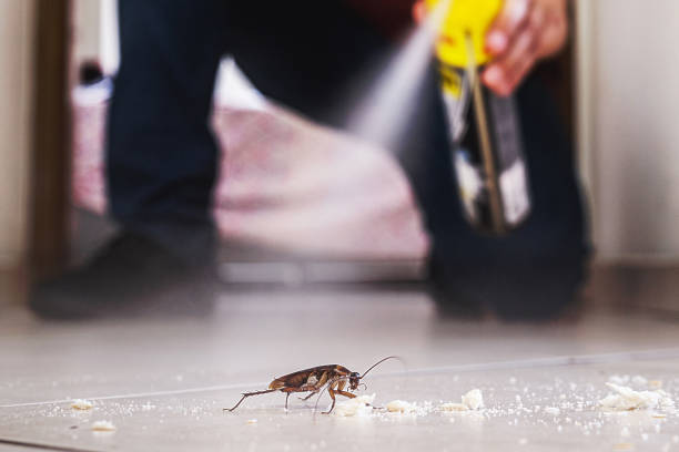 Best Termite Control Services  in Putnam Lake, NY