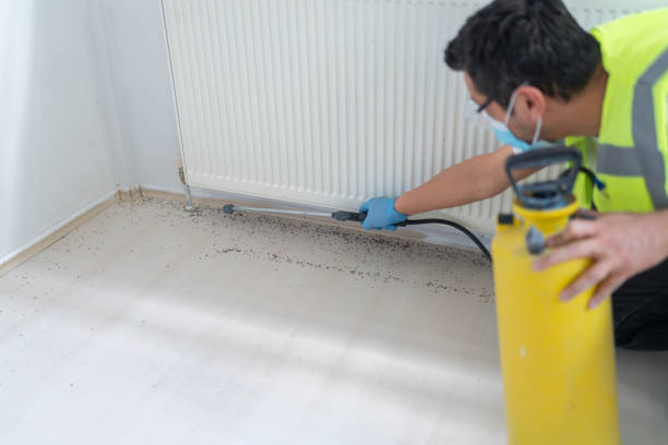 Best Bed Bug Extermination  in Putnam Lake, NY