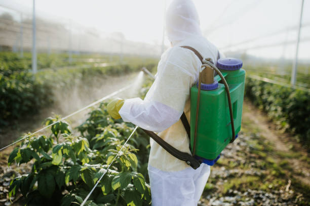 Best Emergency Pest Control  in Putnam Lake, NY